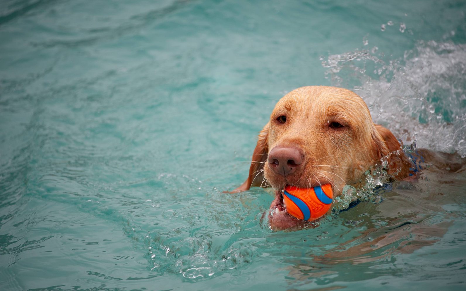 events-lone-tree-arts-center