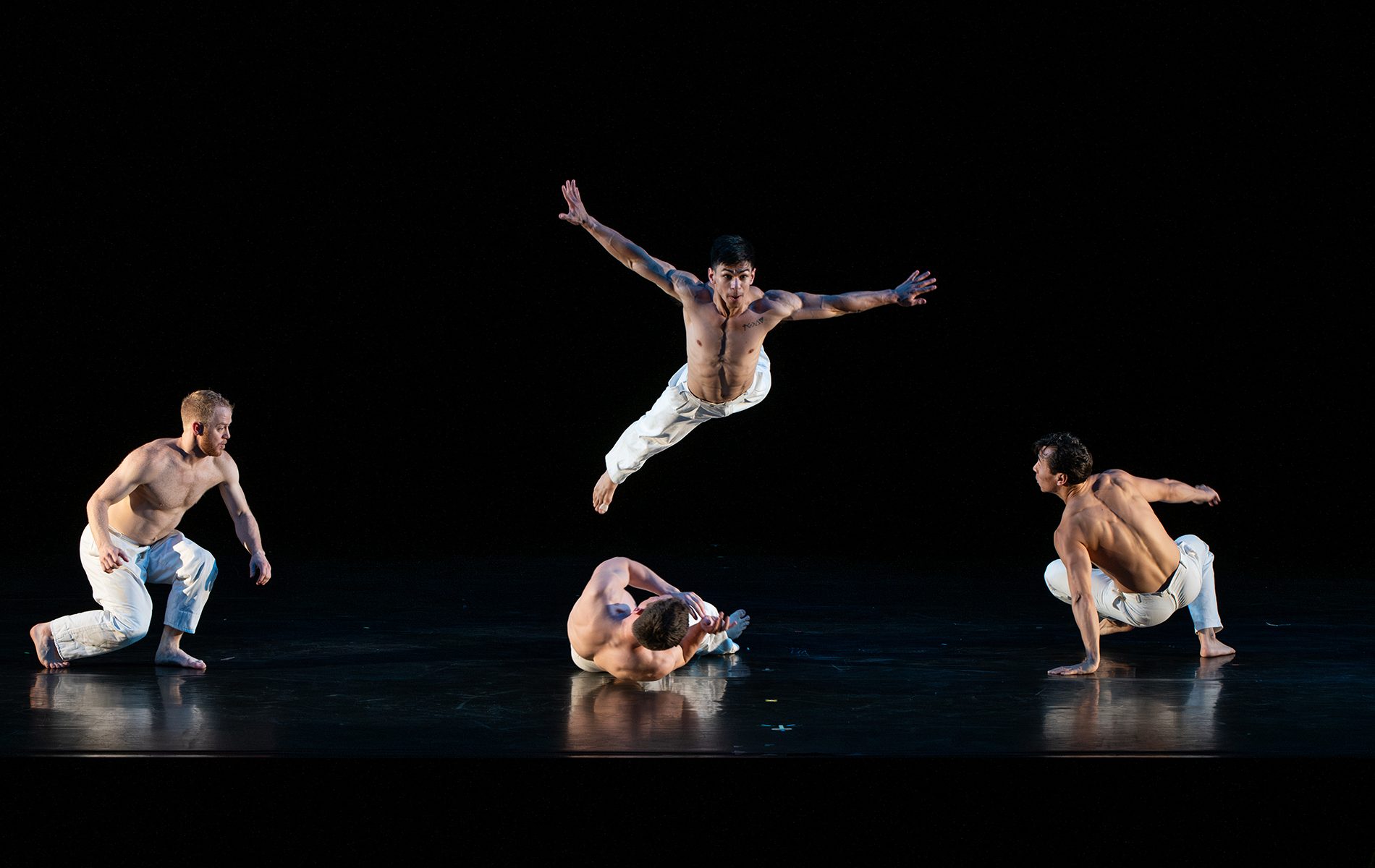 Pilobolus