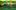 A pair of colorful birds sit on a branch together. There is an image of sound waves behind them.