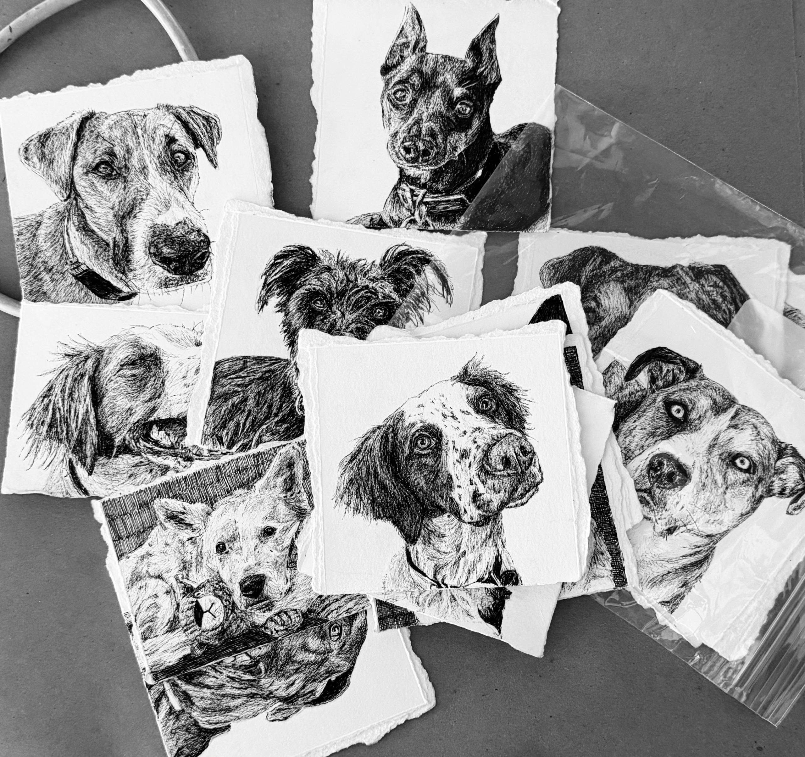 Multiple pet portraits are show in a pile
